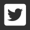 CWGC Twitter link